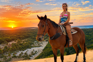 caballo sol