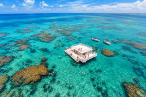 maracajau