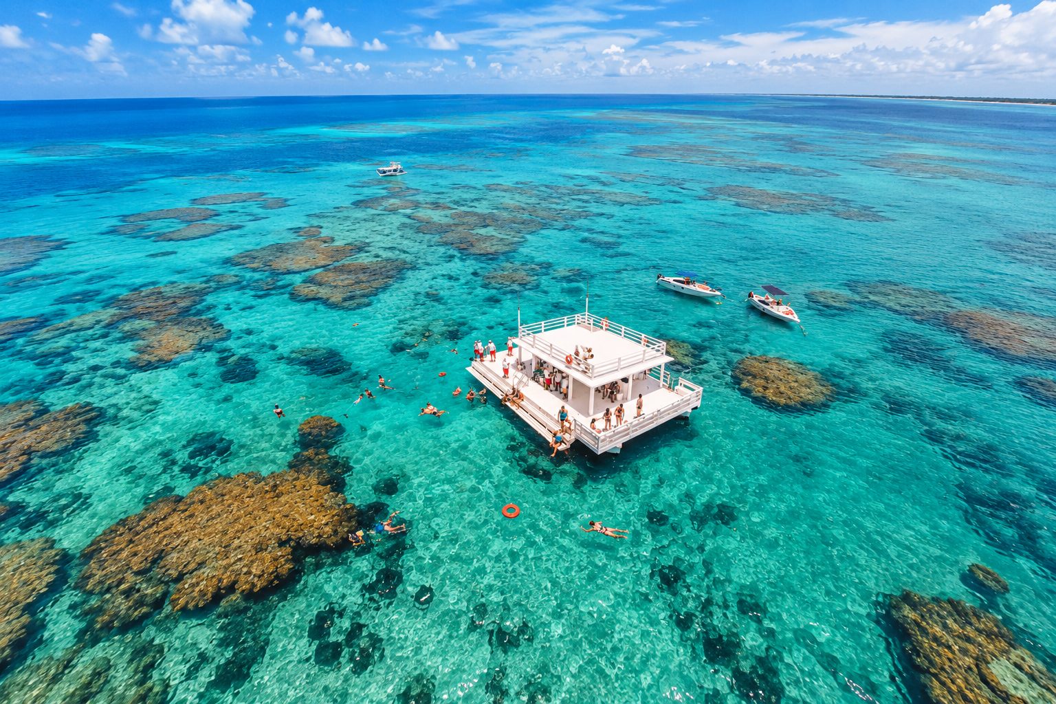 maracajau