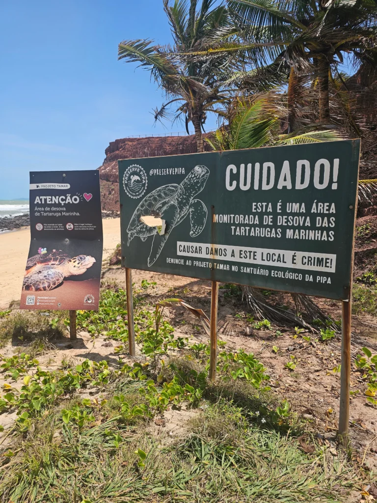 Adevertencia nido tortugas marinas Pipa Brasil