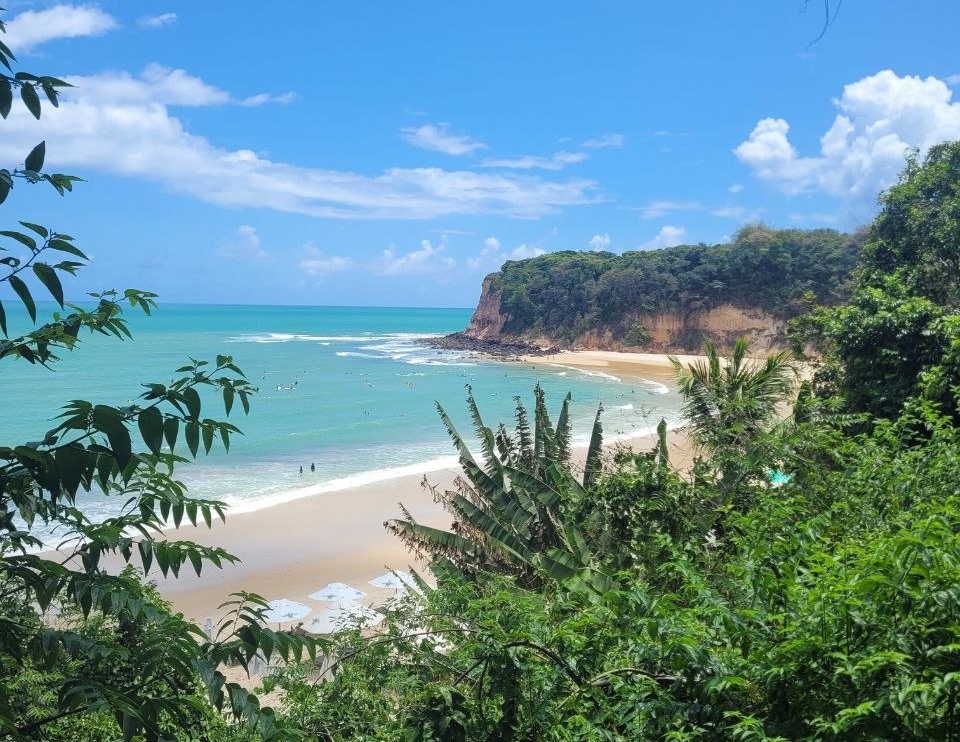 Praia do madeiro, Pipa, Brasil