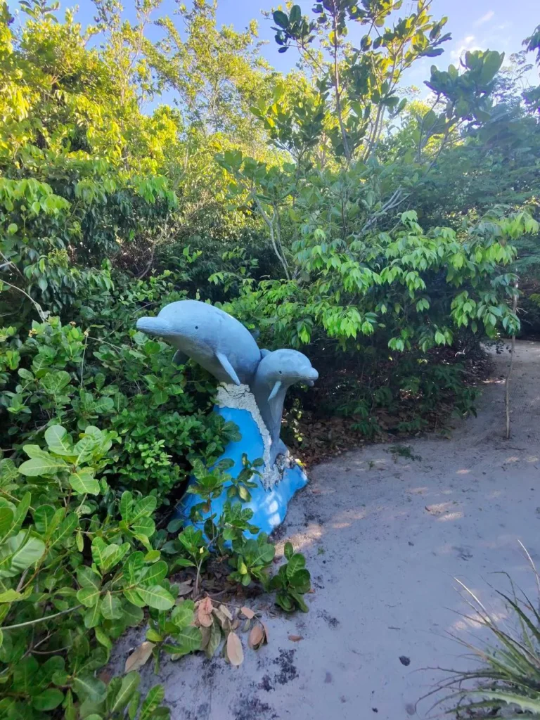 Delfines santuario ecológico de PIPA