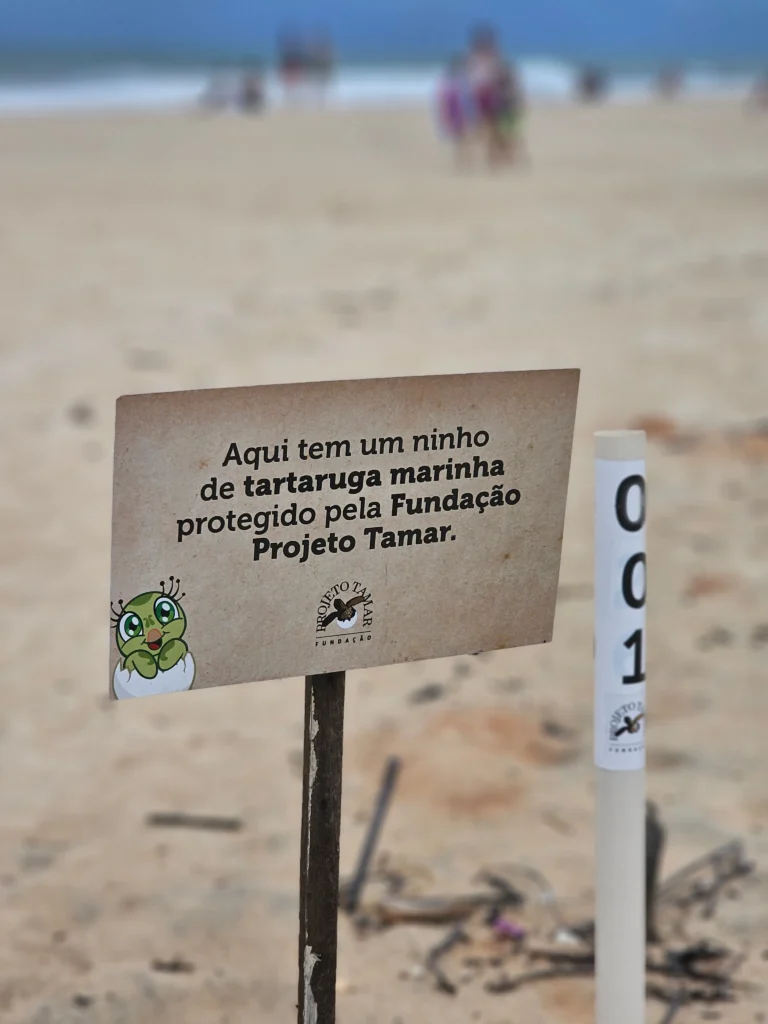 InShot_20260222_003027995