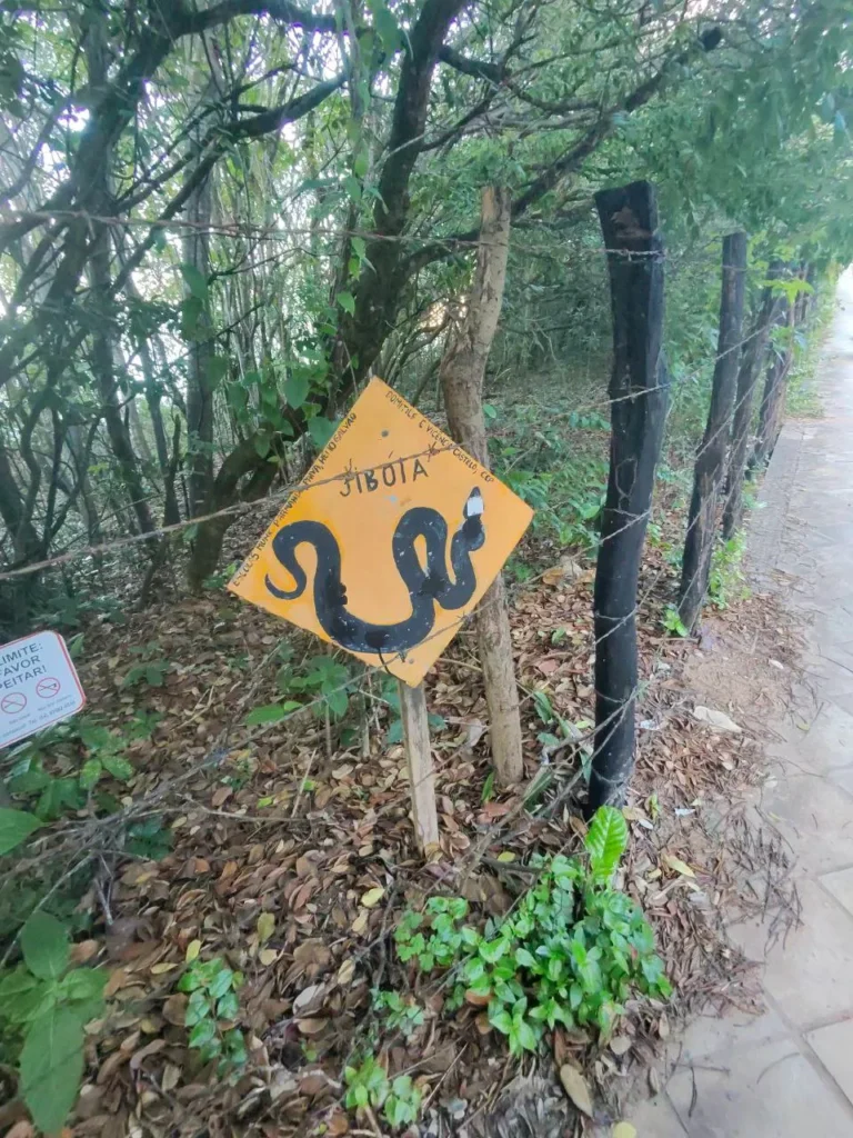 Jiboia, santuario ecológico Pipa