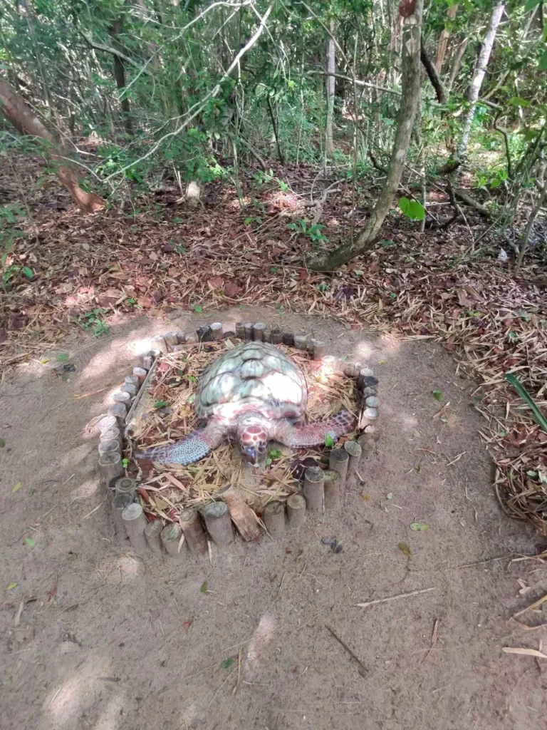 Replica tortuga marina