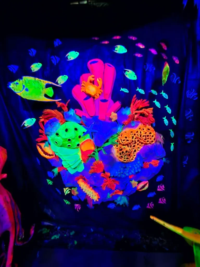 Santuario de los corales