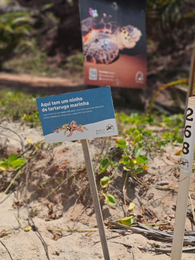 Señal tortugas marinas Pipa Brasil