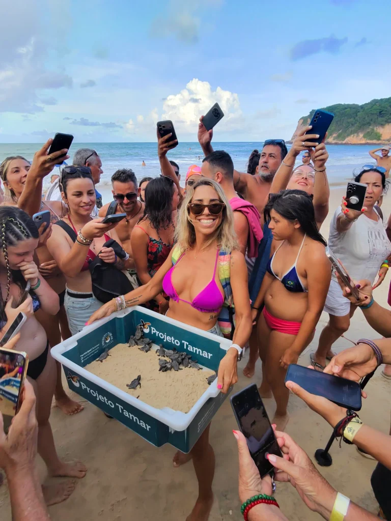 Tortugas marinas en Pipa Brasil