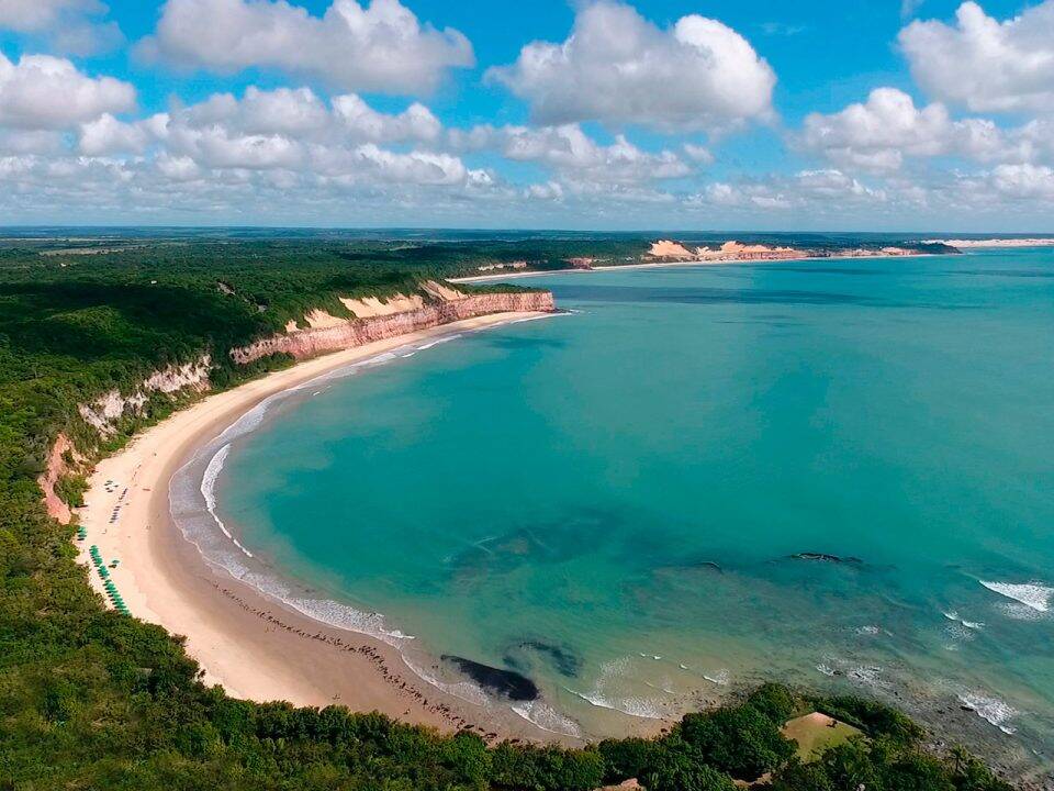 baia dos golfinhos, pipa