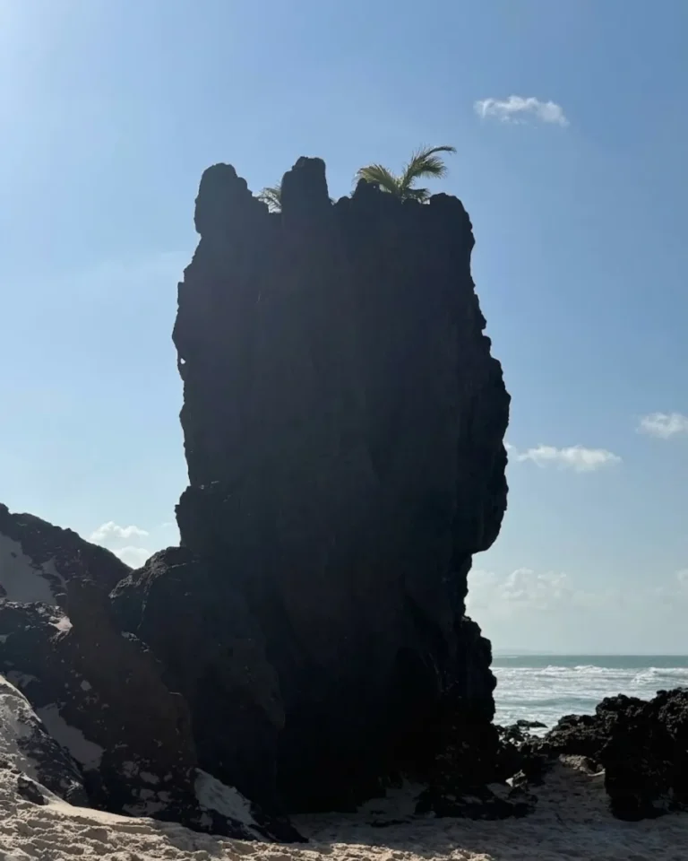 La famosa pierda de pipa